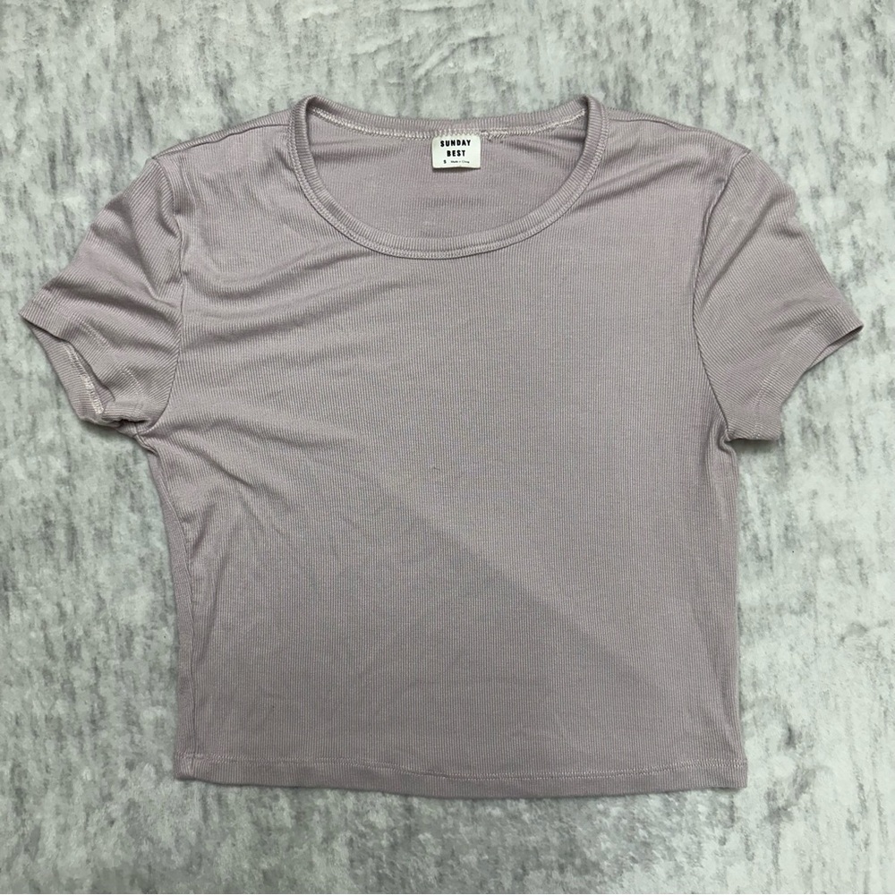 Aritzia Sunday Best Ribbed Baby Tee